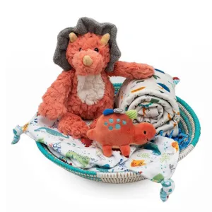 Baby Gift Basket, Baby Dinosaur Theme