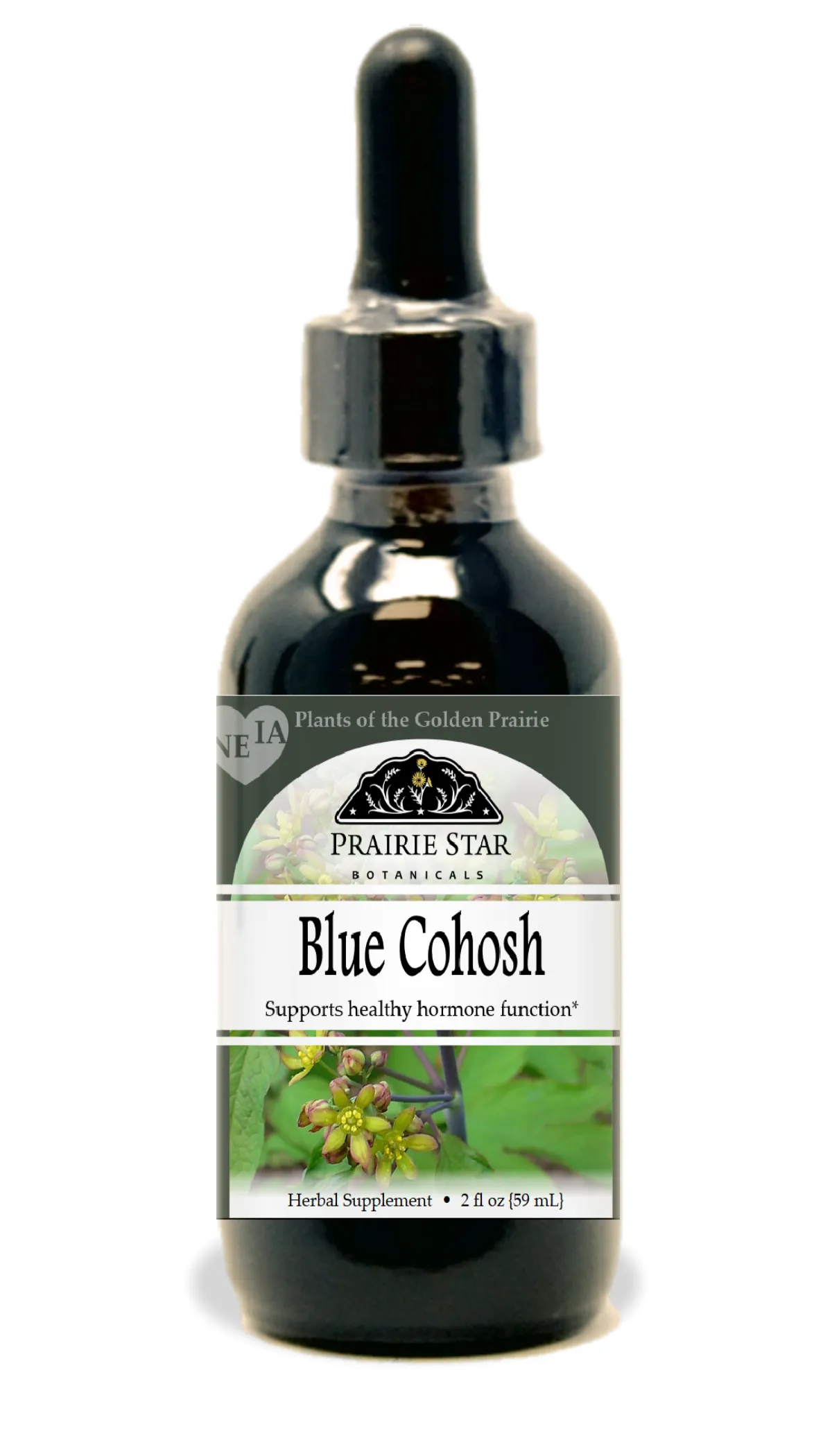 Blue Cohosh