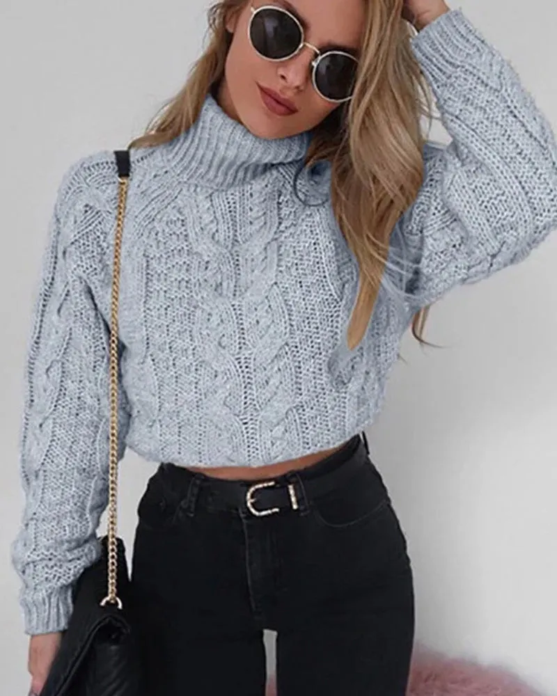 Casual Twist Bat Sleeve Crop Knitting Sweater