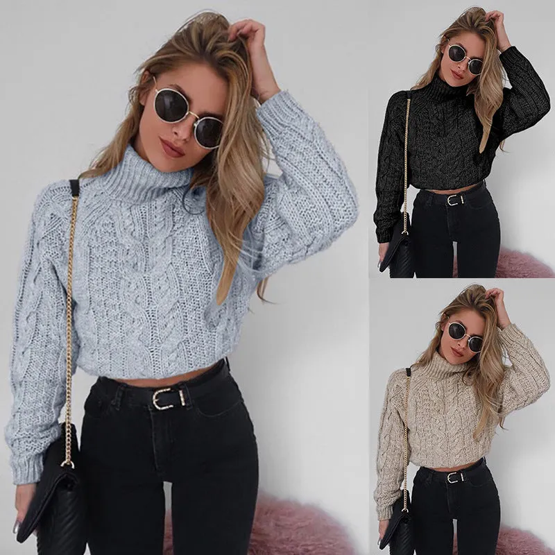 Casual Twist Bat Sleeve Crop Knitting Sweater
