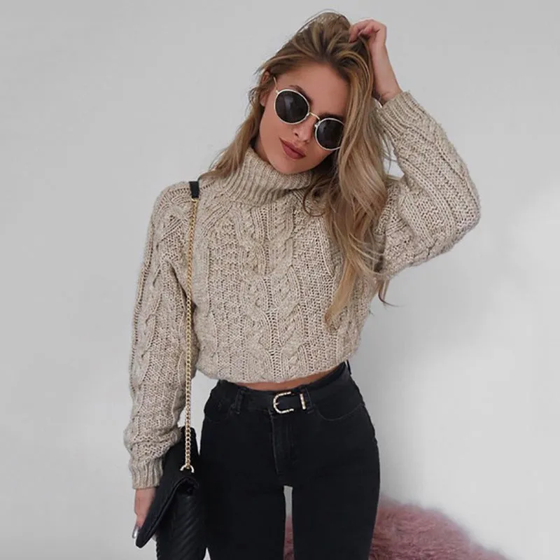 Casual Twist Bat Sleeve Crop Knitting Sweater
