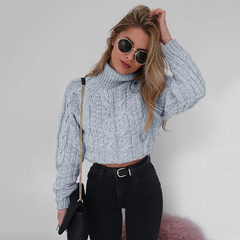 Casual Twist Bat Sleeve Crop Knitting Sweater