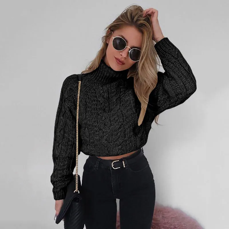 Casual Twist Bat Sleeve Crop Knitting Sweater