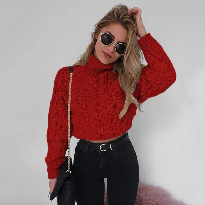Casual Twist Bat Sleeve Crop Knitting Sweater