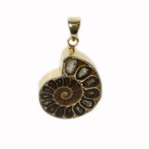 Charles Albert Jewelry Alchemia Ammonite Pendant