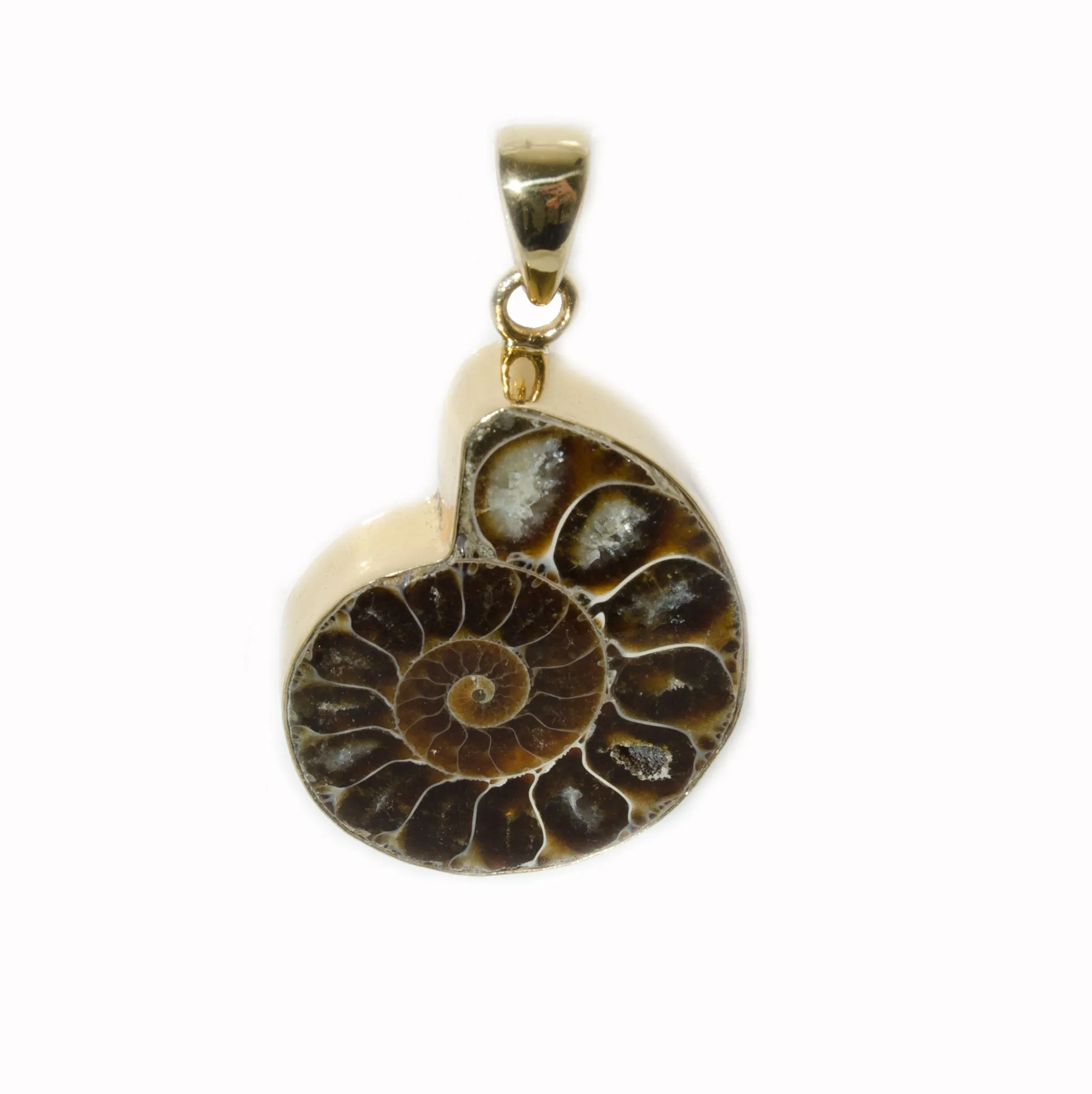 Charles Albert Jewelry Alchemia Ammonite Pendant