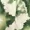 Green And Cream Marble Print Strap Detail Asymmetric Cut Out Midi Dress