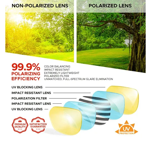 Iconic Folding Sunglasses