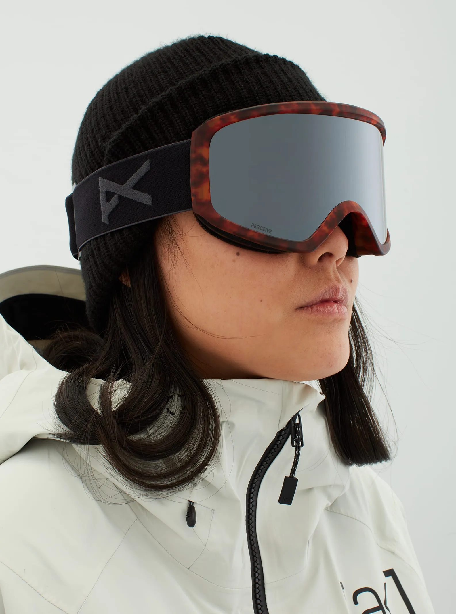 Insight Goggle 2022