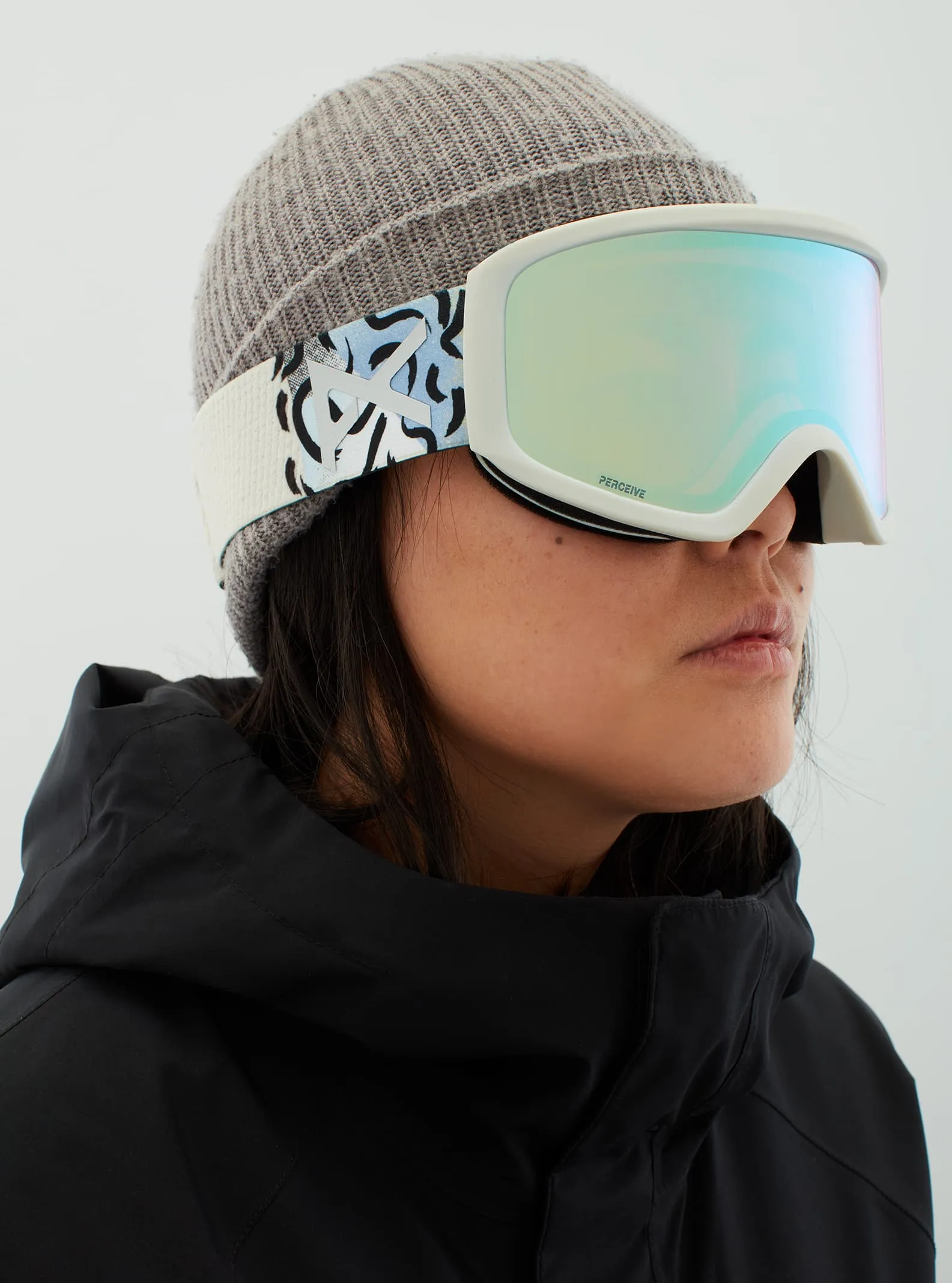 Insight Goggle 2022