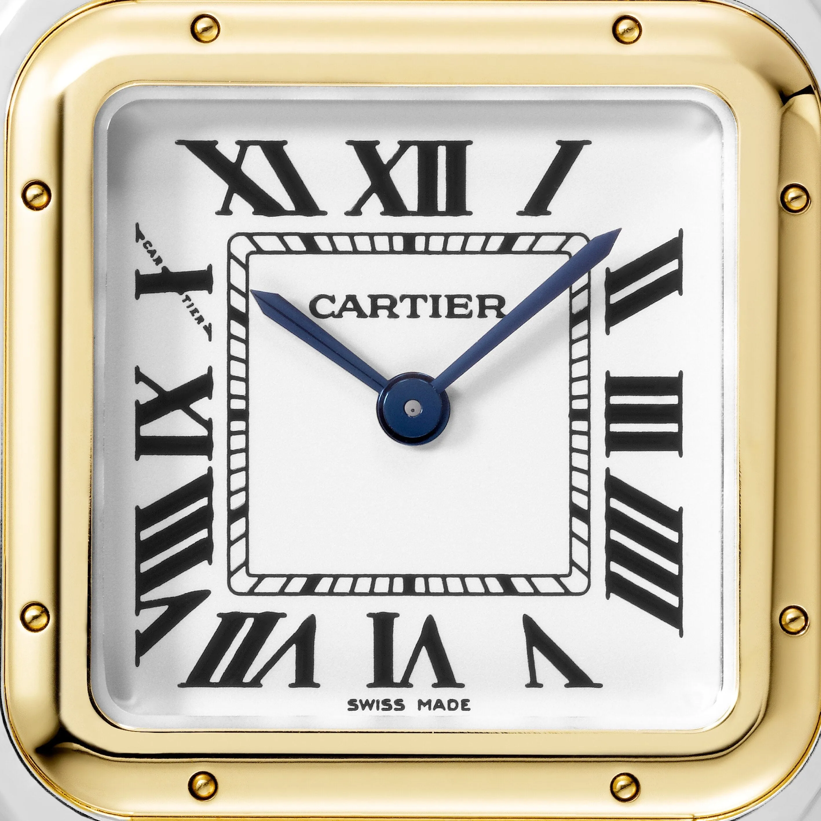 Panthère de Cartier watch W2PN0014