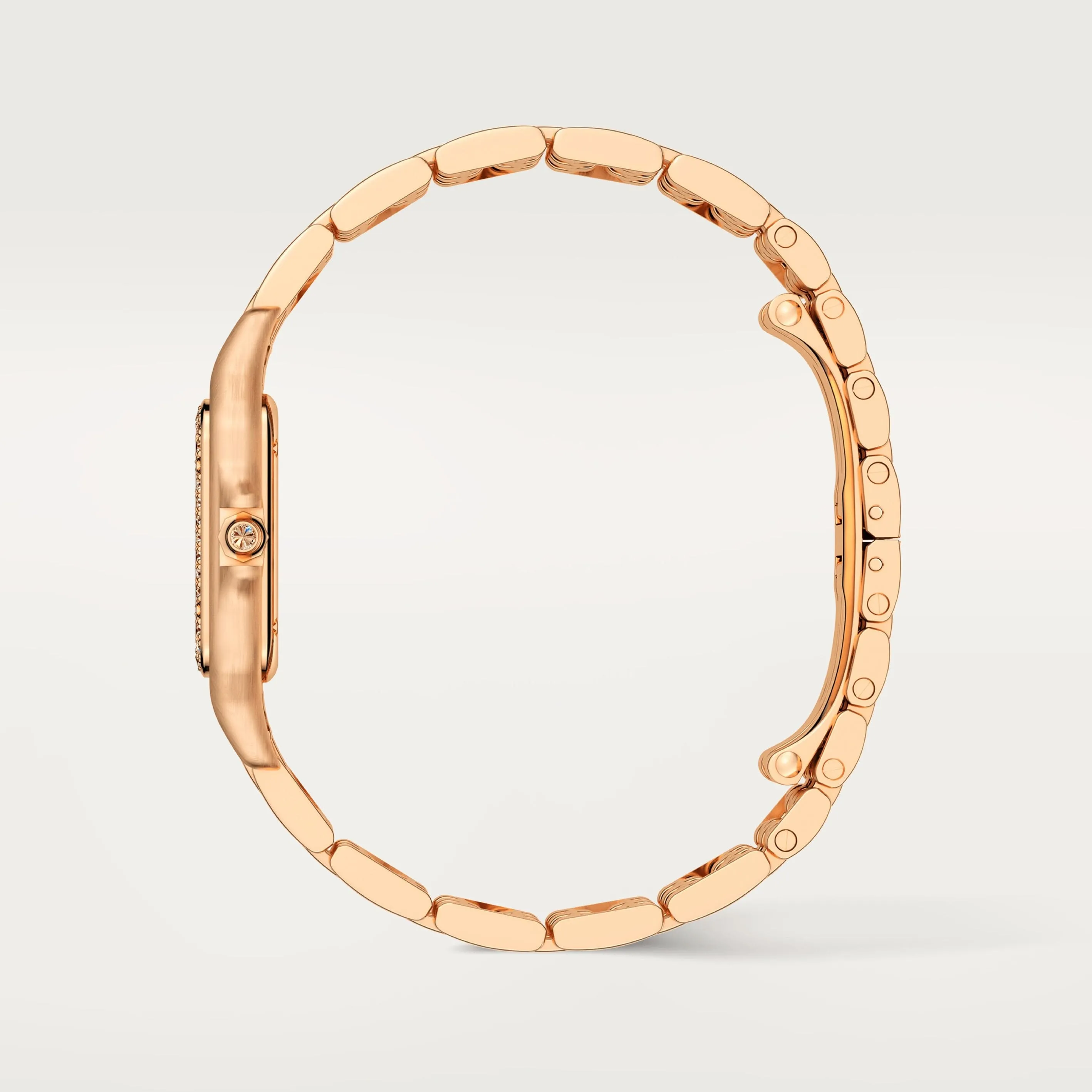 Panthère de Cartier watch WJPN0038