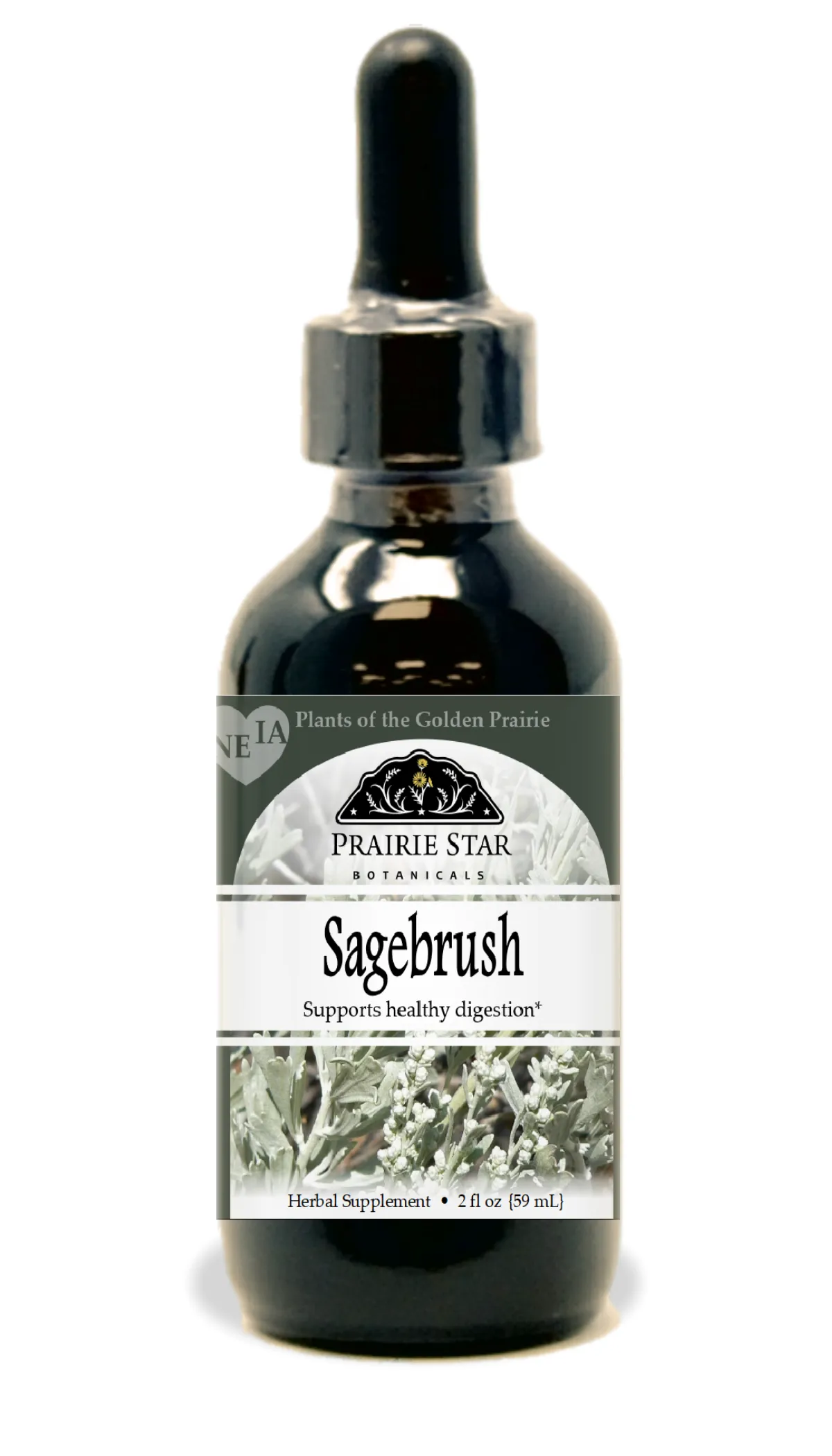 Sagebrush