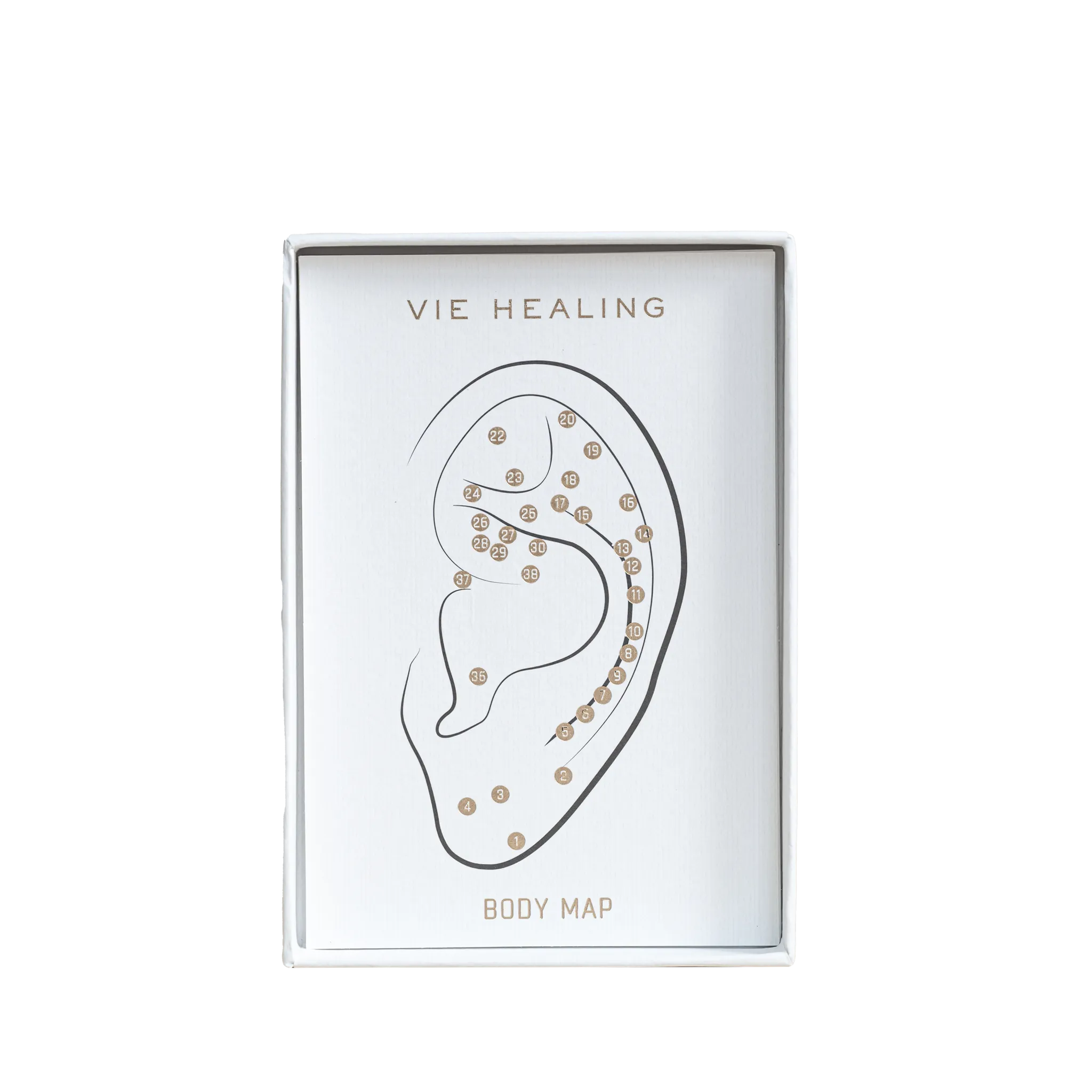 The Foundations Ear Seed