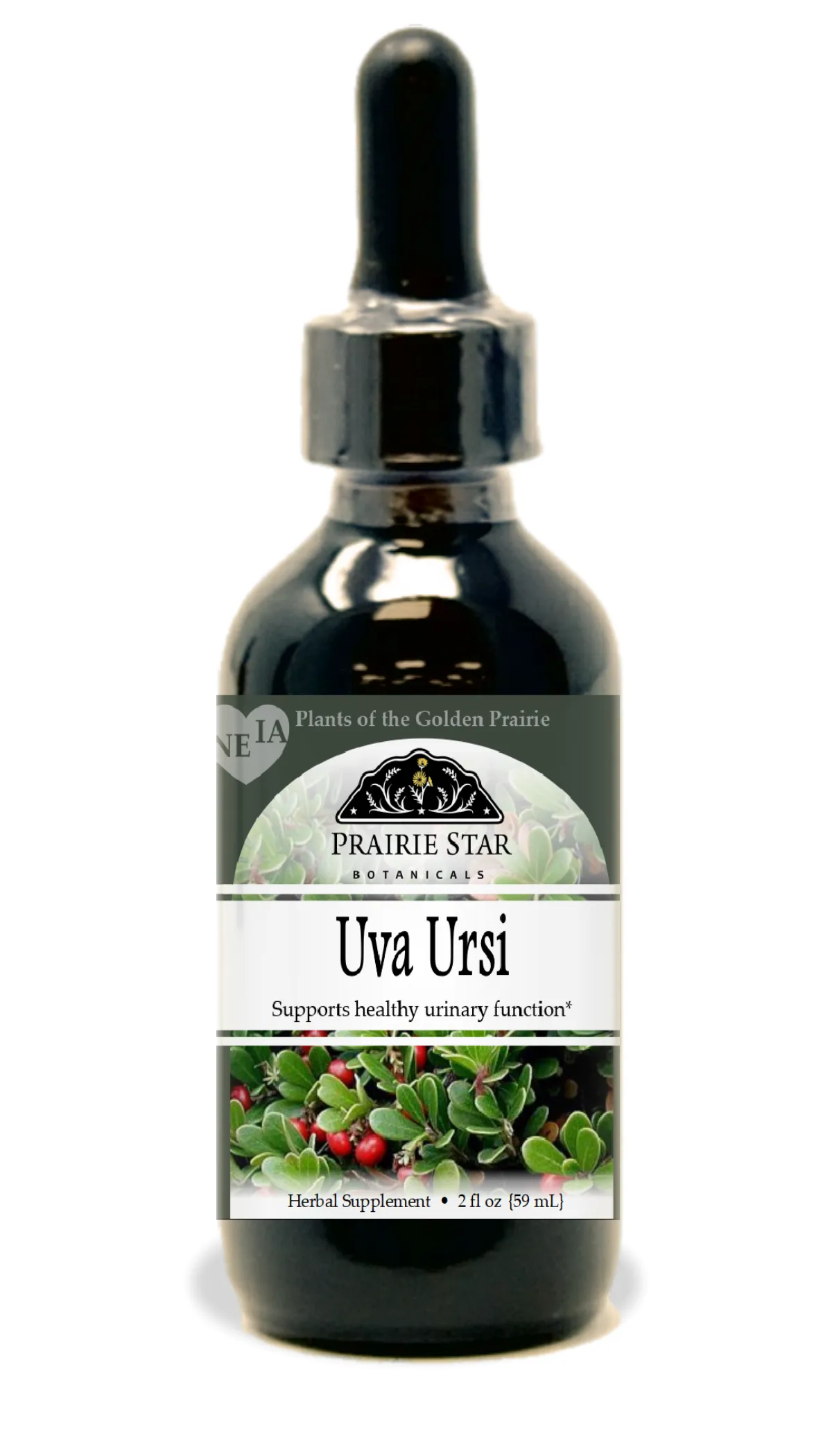 Uva Ursi