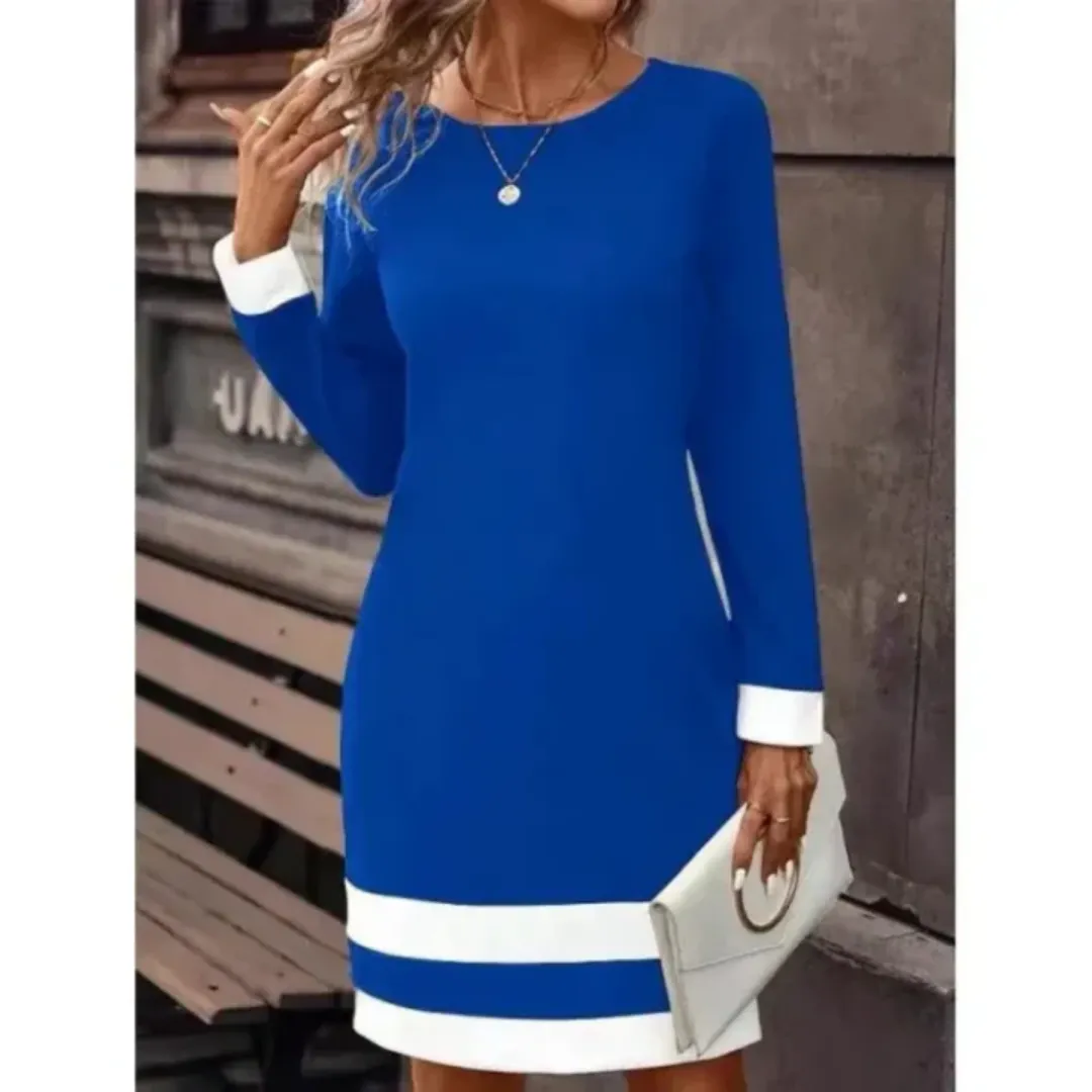 Women's Formal Long Sleeve Work Dress | Mini
