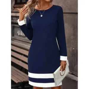 Women's Formal Long Sleeve Work Dress | Mini
