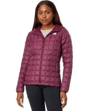 Women's The North Face | ThermoBall Eco Hoodie | Boysenberry