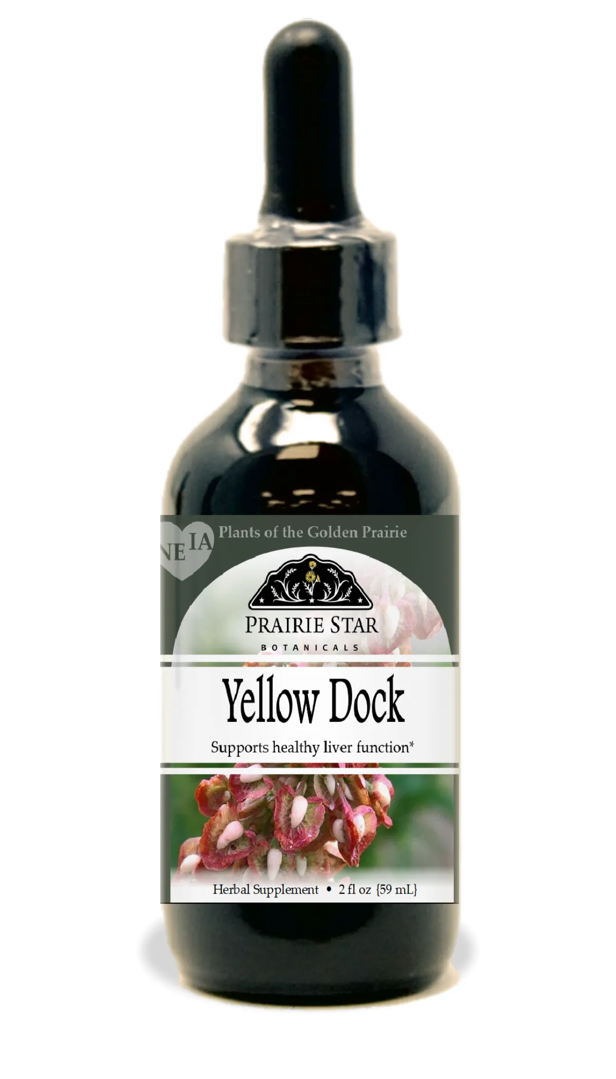 Yellow Dock