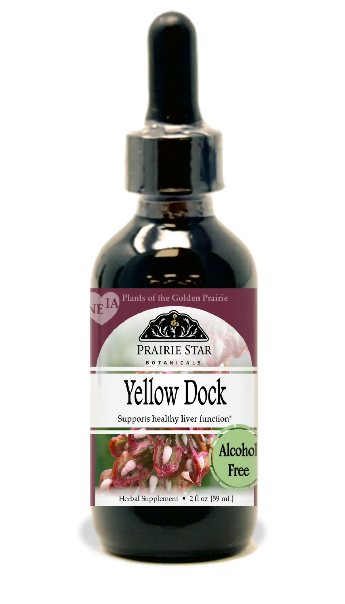 Yellow Dock